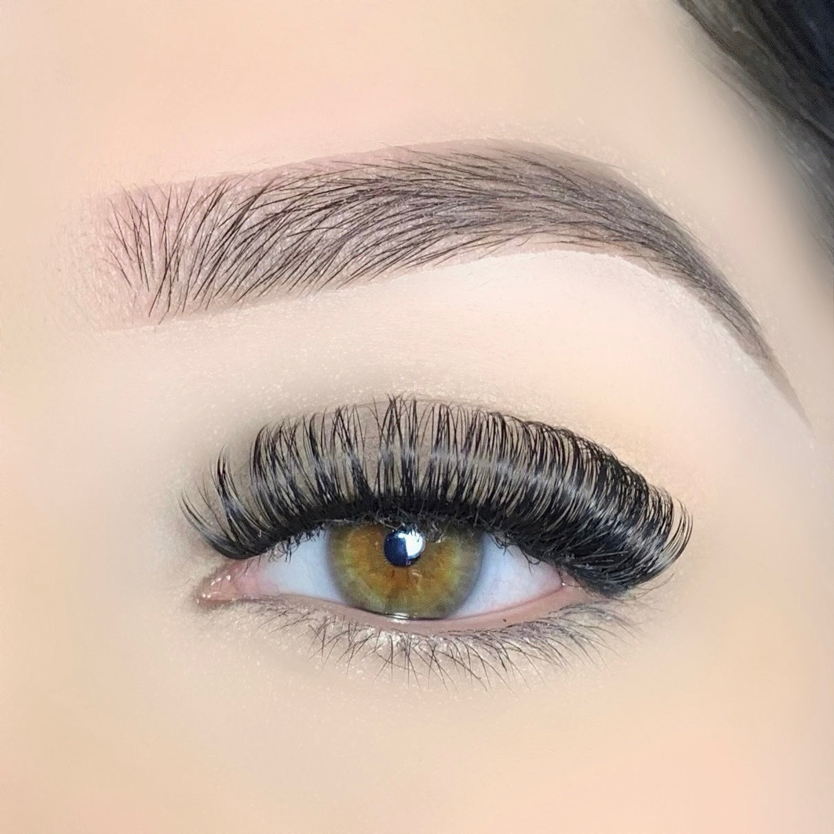 Ultimate Lash Extension Collection PACK