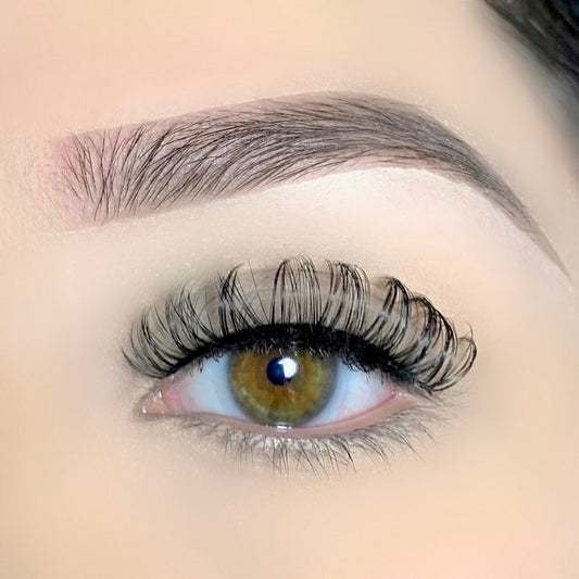 Ultimate Lash Extension Collection PACK