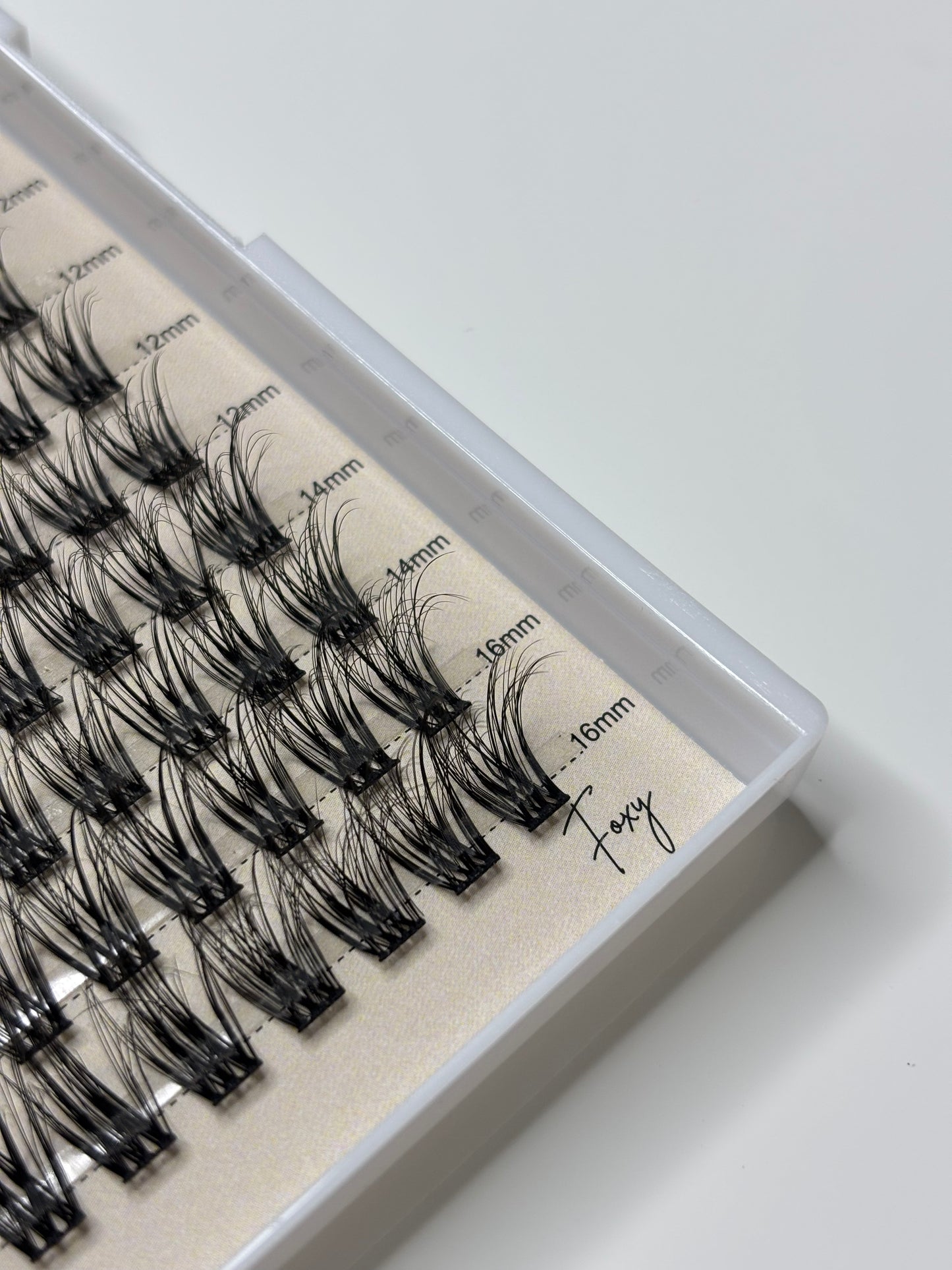 LASH CLUSTER KIT