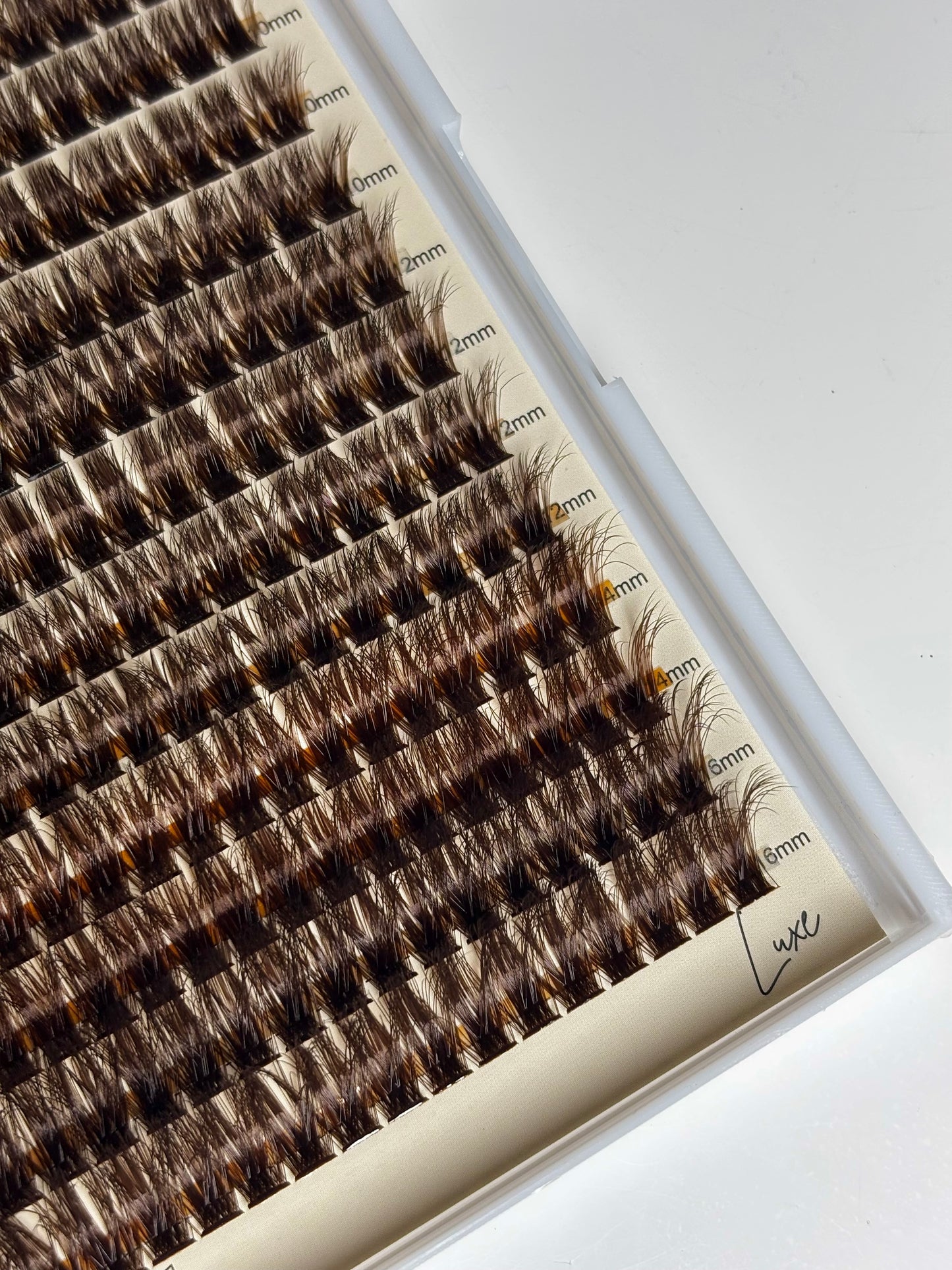 LASH CLUSTER BOOK